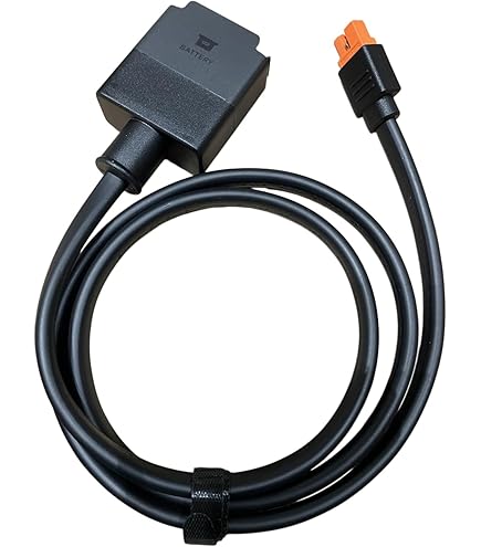 Amazon.co.jp: オルタネーターチャージャー For EcoFlow XT150